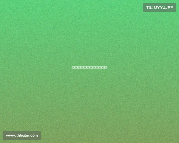 马术俱乐部主营赛事：精英骑手巅峰对决骏马竞技盛宴